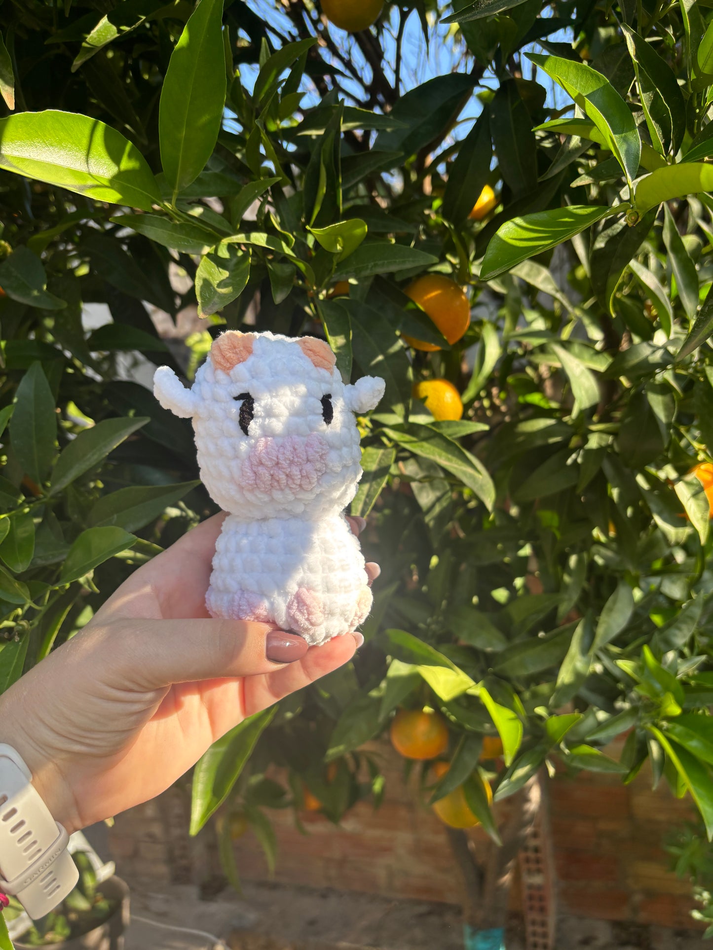 Vache blanche