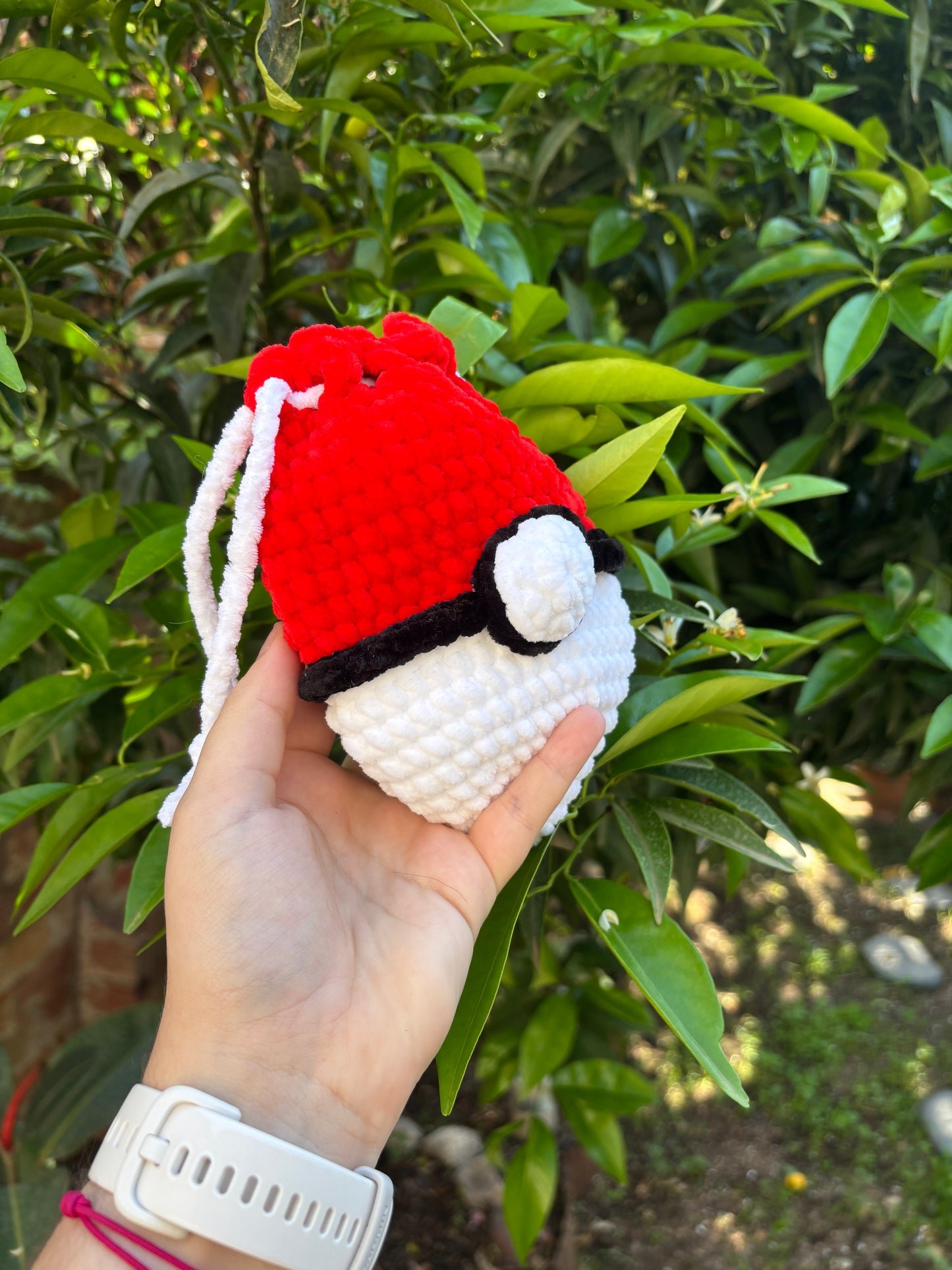 Pochon Pokéball