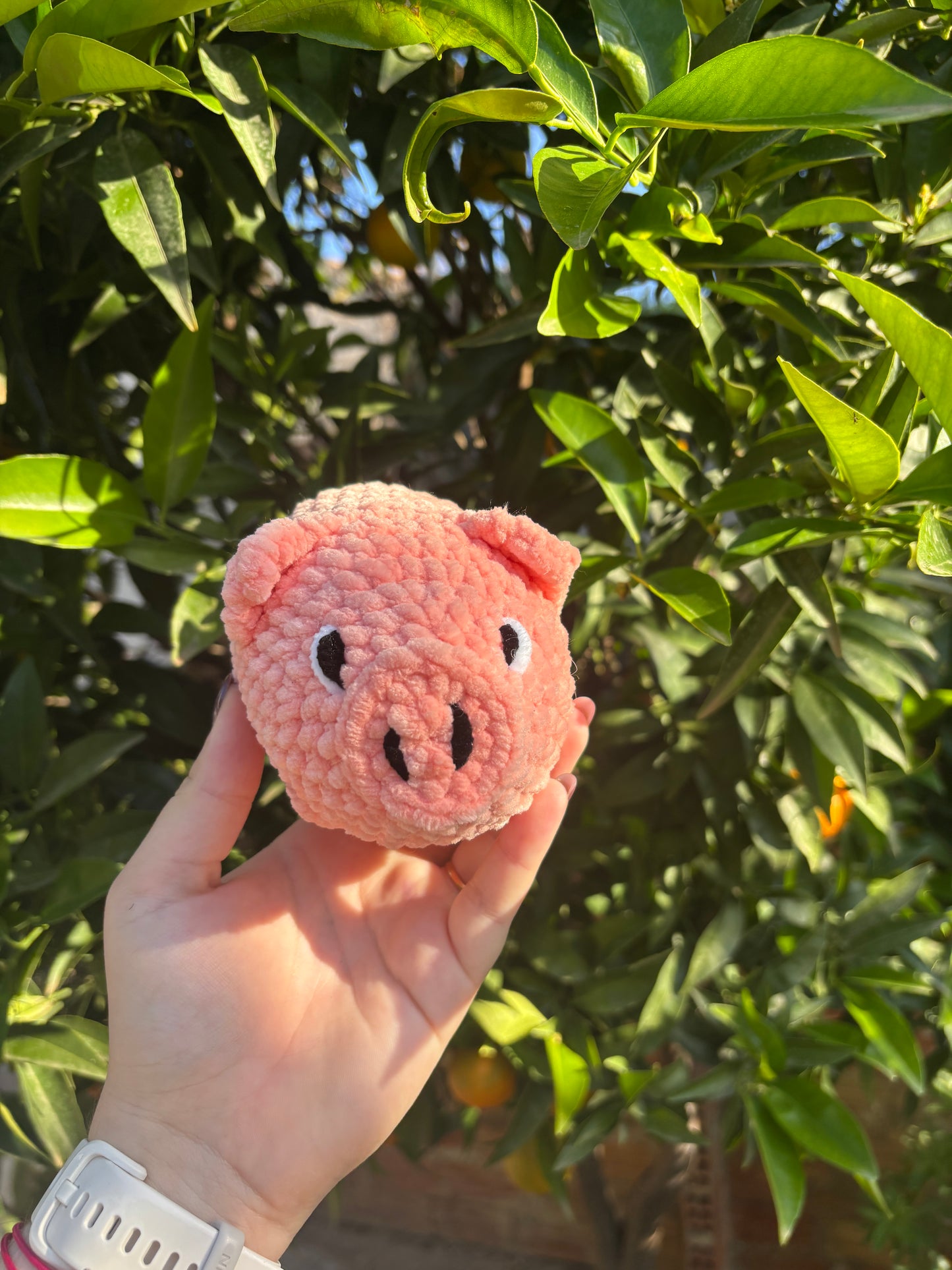 Cochon rose