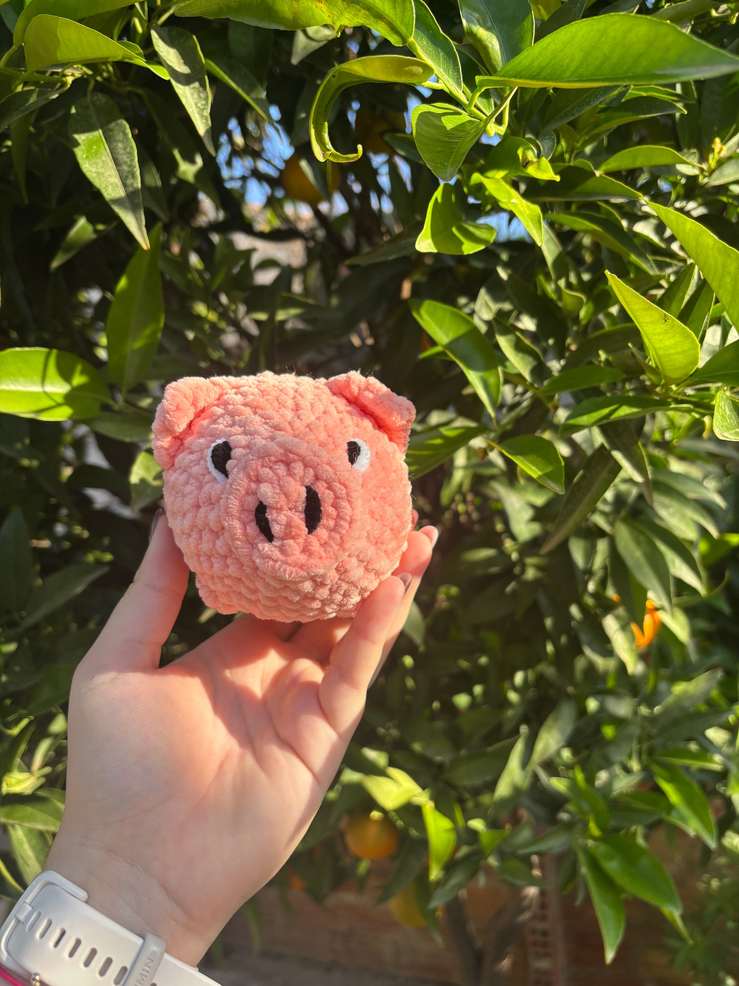Cochon rose