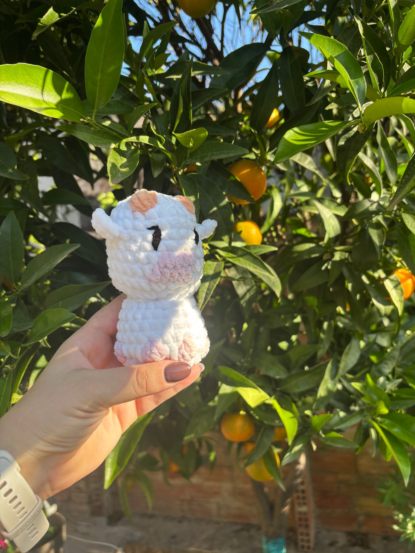 Vache blanche