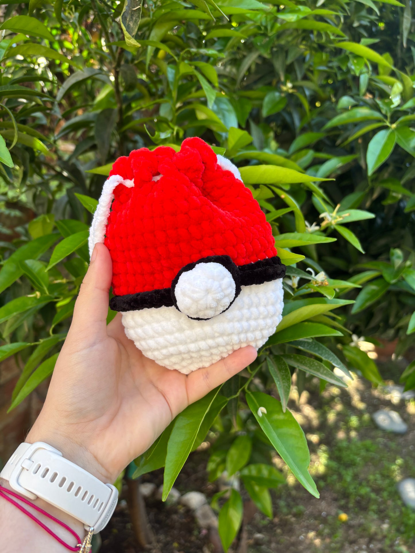 Pochon Pokéball