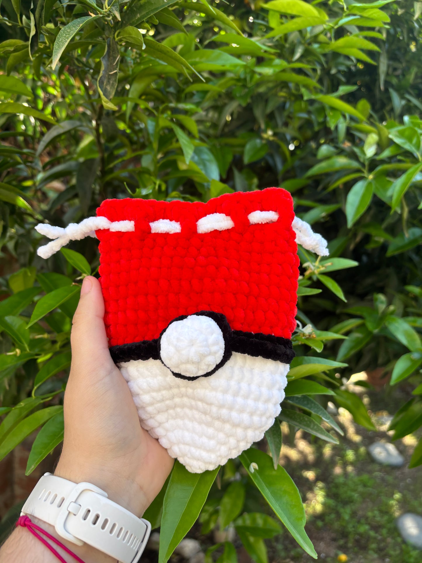 Pochon Pokéball