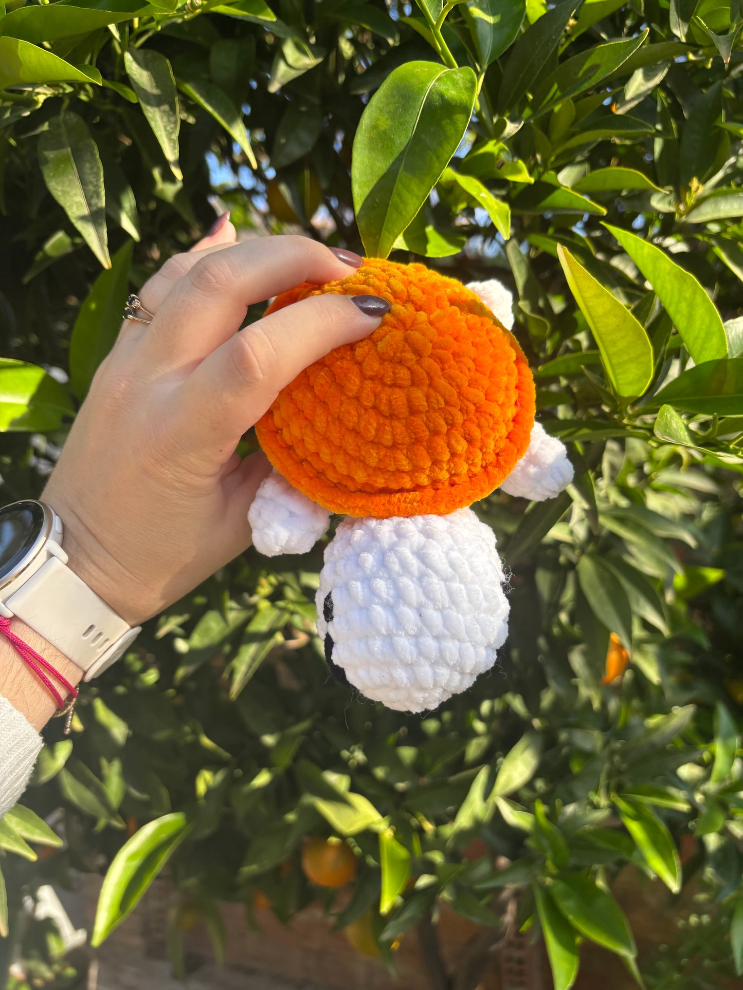 Tortue de mer orange