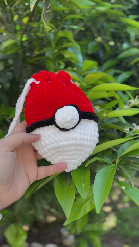 Pochon Pokéball